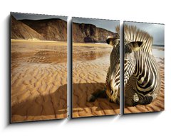 Obraz 3D tdln - 90 x 50 cm F_BS25254470 - Beach Zebra - Pl zebra