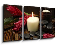 Obraz   spa and wellness concept with flowers zen stones, 90 x 50 cm