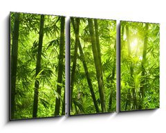 Obraz 3D tdln - 90 x 50 cm F_BS25655777 - Bamboo forest.