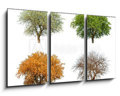 Obraz   season, 90 x 50 cm