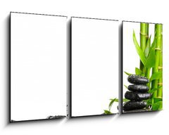 Obraz 3D tdln - 90 x 50 cm F_BS25877921 - Spa concept