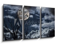 Obraz 3D tdln - 90 x 50 cm F_BS26290329 - Full moon