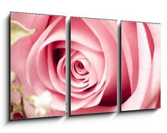 Obraz 3D tdln - 90 x 50 cm F_BS26423247 - Rosa