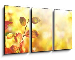 Obraz 3D tdln - 90 x 50 cm F_BS264386223 - Beautiful colorful autumn natural background panorama. Orange autumn foliage on blurred gold background glows in sunlight outdoors in nature. Template with copy space.