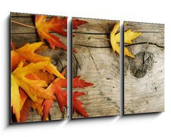 Obraz 3D tdln - 90 x 50 cm F_BS26583135 - Autumn Leaves over wood background.With copy space