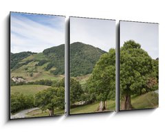 Obraz 3D tdln - 90 x 50 cm F_BS26635270 - Casta os en campi a navarra