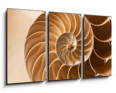 Obraz   close up nautilus shell pattern, 90 x 50 cm