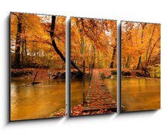 Obraz 3D tdln - 90 x 50 cm F_BS27188223 - Autumn bridge