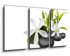 Obraz 3D tdln - 90 x 50 cm F_BS27276964 - Spa still life with white flowers