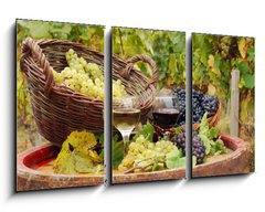 Obraz 3D tdln - 90 x 50 cm F_BS27521163 - vineyard with red and white wine