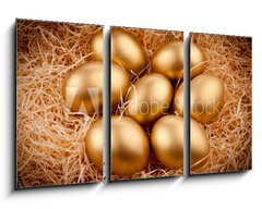 Obraz 3D tdln - 90 x 50 cm F_BS27774128 - Golden eggs - Zlat vejce