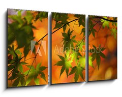 Obraz 3D tdln - 90 x 50 cm F_BS28199408 -    (       )