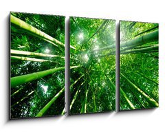 Obraz 3D tdln - 90 x 50 cm F_BS28379560 - Bambou zen for t