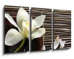 Obraz 3D tdln - 90 x 50 cm F_BS28682309 - bowl of orchid, petal on bamboo mat - miska orchideje, okvtn lstek na bambusov rohoi