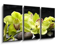 Obraz 3D tdln - 90 x 50 cm F_BS28704668 - Wellness concept with zen stone and orchid
