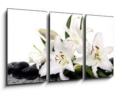 Obraz   madonna lily and spa stone, 90 x 50 cm