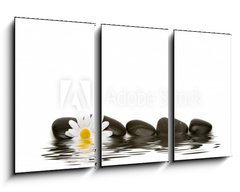 Obraz 3D tdln - 90 x 50 cm F_BS2881748 - spa stones and daisy