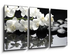 Obraz 3D tdln - 90 x 50 cm F_BS28907767 - Close up white orchid with stone water drops