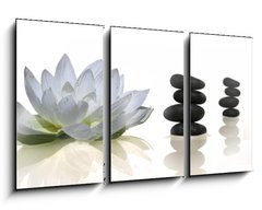 Obraz 3D tdln - 90 x 50 cm F_BS2900573 - espace zen