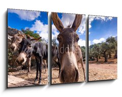 Obraz 3D tdln - 90 x 50 cm F_BS290191990 - Majorka