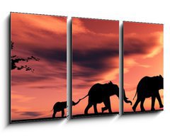 Obraz 3D tdln - 90 x 50 cm F_BS2914279 - family of elephants