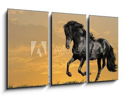 Obraz   black horse runs gallop, 90 x 50 cm