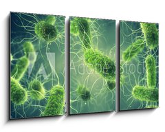 Obraz   Pathogenic Salmonella Bacteria, Microbiological research, 90 x 50 cm