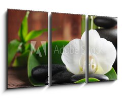 Obraz 3D tdln - 90 x 50 cm F_BS29542838 - Spa concept