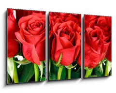 Obraz 3D tdln - 90 x 50 cm F_BS29639733 - bouquet of red roses
