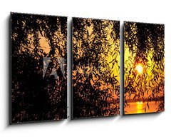 Obraz 3D tdln - 90 x 50 cm F_BS29805104 - sunset behind the tree