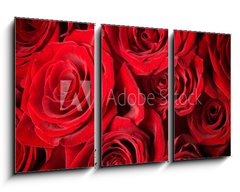 Obraz   Roses Background, 90 x 50 cm