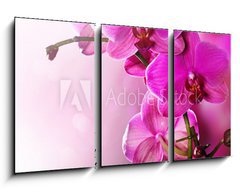 Obraz 3D tdln - 90 x 50 cm F_BS30014255 - Orchid Flower border design