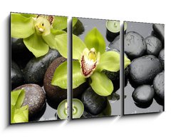 Obraz 3D tdln - 90 x 50 cm F_BS30029365 - therapy stones and orchid flower with water drops