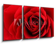 Obraz 3D tdln - 90 x 50 cm F_BS30035438 - Rote Rose