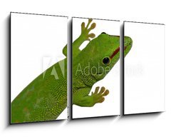 Obraz   lezard vert, 90 x 50 cm