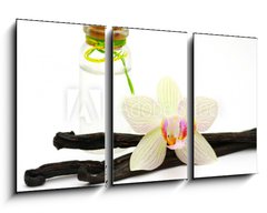 Obraz 3D tdln - 90 x 50 cm F_BS30233119 - vanilla oil isolated on white background