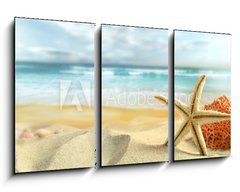 Obraz 3D tdln - 90 x 50 cm F_BS30407391 - Starfish on the Beach