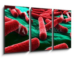 Obraz 3D tdln - 90 x 50 cm F_BS30619271 - E coli Bacteria close up