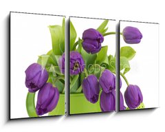 Obraz 3D tdln - 90 x 50 cm F_BS30636217 - bunch of violet tulips