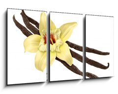 Obraz 3D tdln - 90 x 50 cm F_BS30979053 - Vanilla Bean and Flower (clipping path)