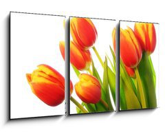 Obraz 3D tdln - 90 x 50 cm F_BS31031633 - Tulips bouquet