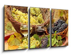 Obraz 3D tdln - 90 x 50 cm F_BS31176715 - Wine and Grapes in the Vineyard