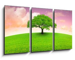 Obraz 3D tdln - 90 x 50 cm F_BS3120144 - arbre sur prairie