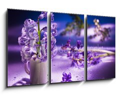 Obraz 3D tdln - 90 x 50 cm F_BS31402234 - Still life with hyacinth flower in gentle violet colors and magi