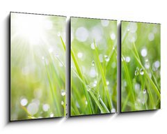 Obraz 3D tdln - 90 x 50 cm F_BS31545504 - sparkling grass