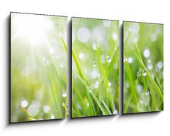Obraz   sparkling grass, 90 x 50 cm