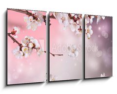 Obraz   Spring Blossom Design, 90 x 50 cm