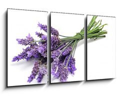 Obraz 3D tdln - 90 x 50 cm F_BS31830831 - lavender - levandule