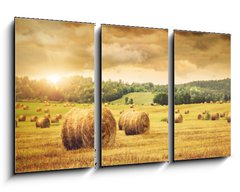 Obraz   Field of freshly bales of hay with beautiful sunset, 90 x 50 cm