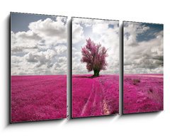 Obraz 3D tdln - 90 x 50 cm F_BS31846584 - oniric landscape and tree